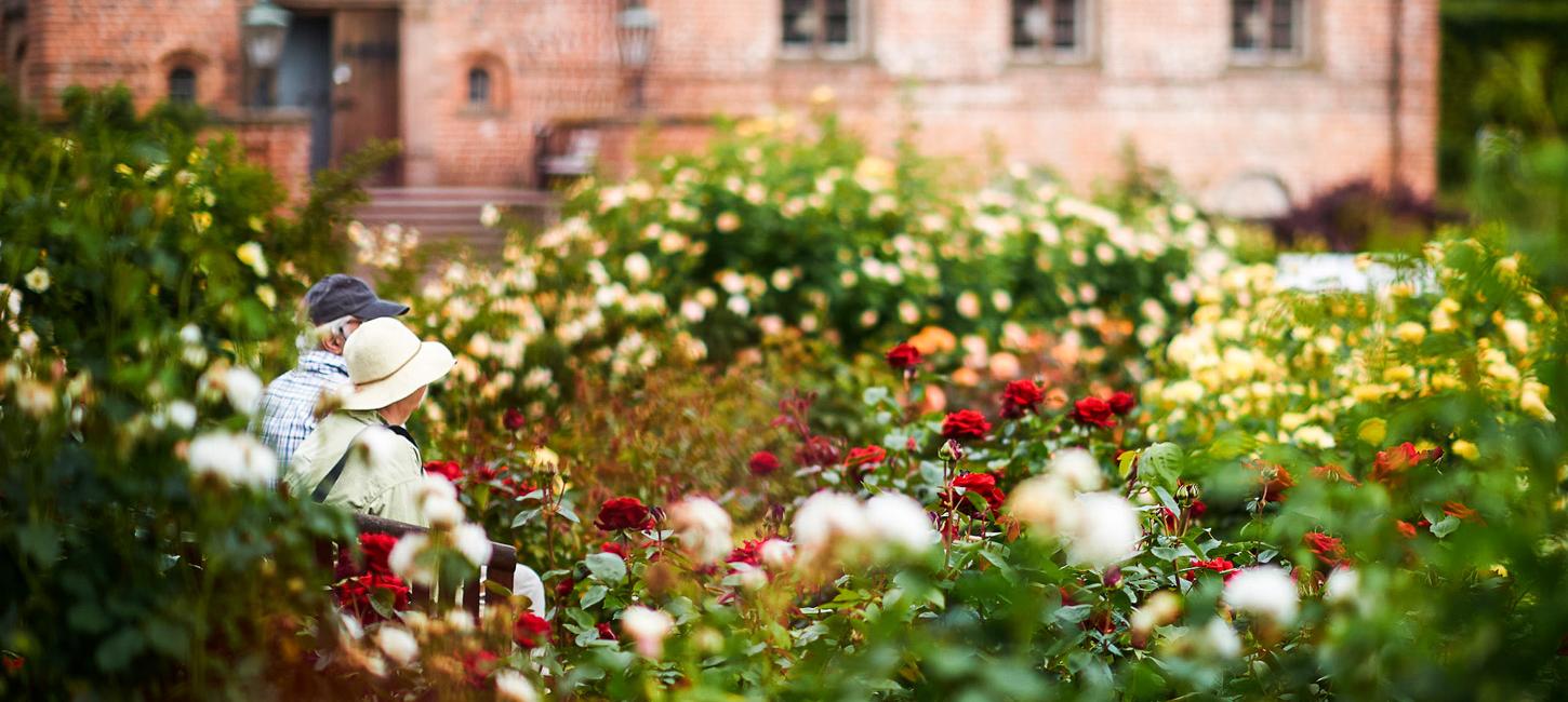 En ældre kvinde med lys sommerhat og en ældre mand med mørk kasket sidder omgiver af blomstrende roser og blomster til alle sider.