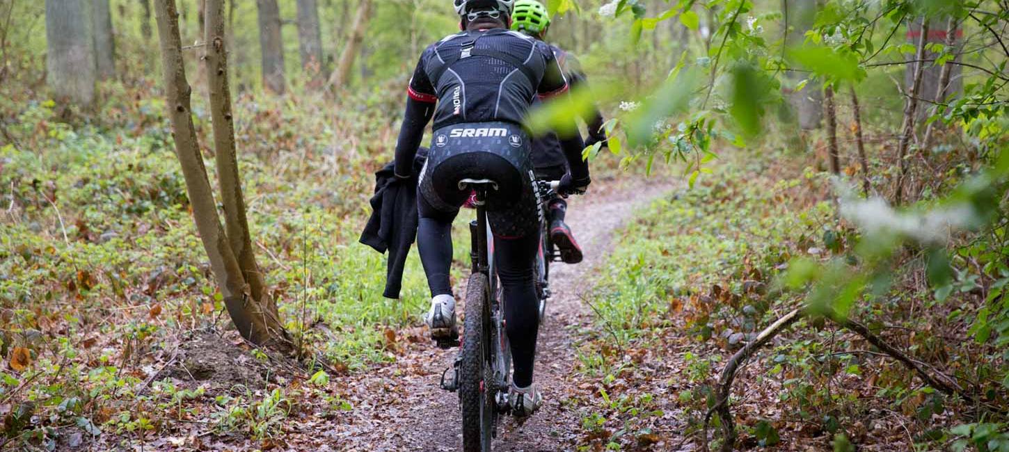 To mountainbikere cykler i skoven, omringet af træer og vildt mos.