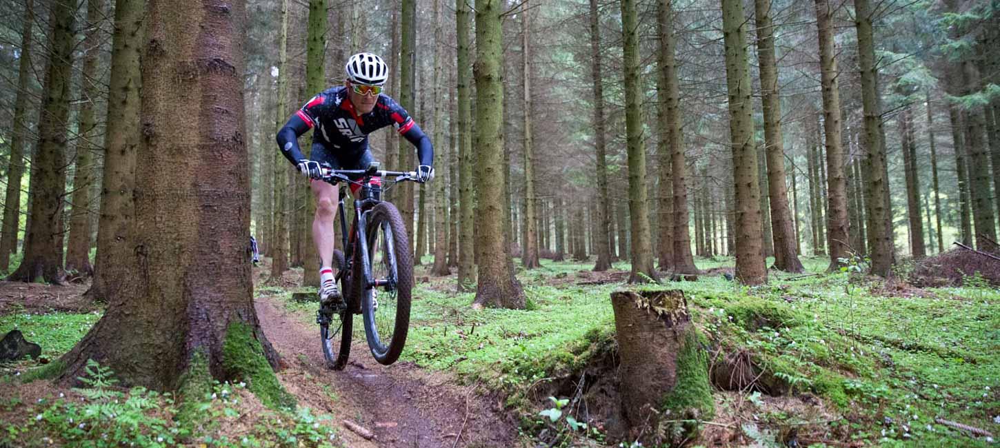 En mountainbiker i skoven, omringet af træer og vildt mos.