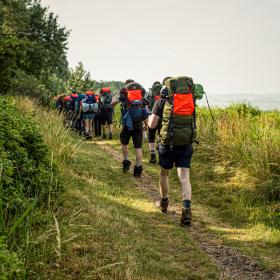 Vandrere med vandrerygsække går på en smal vandresti mellem skov og strand.